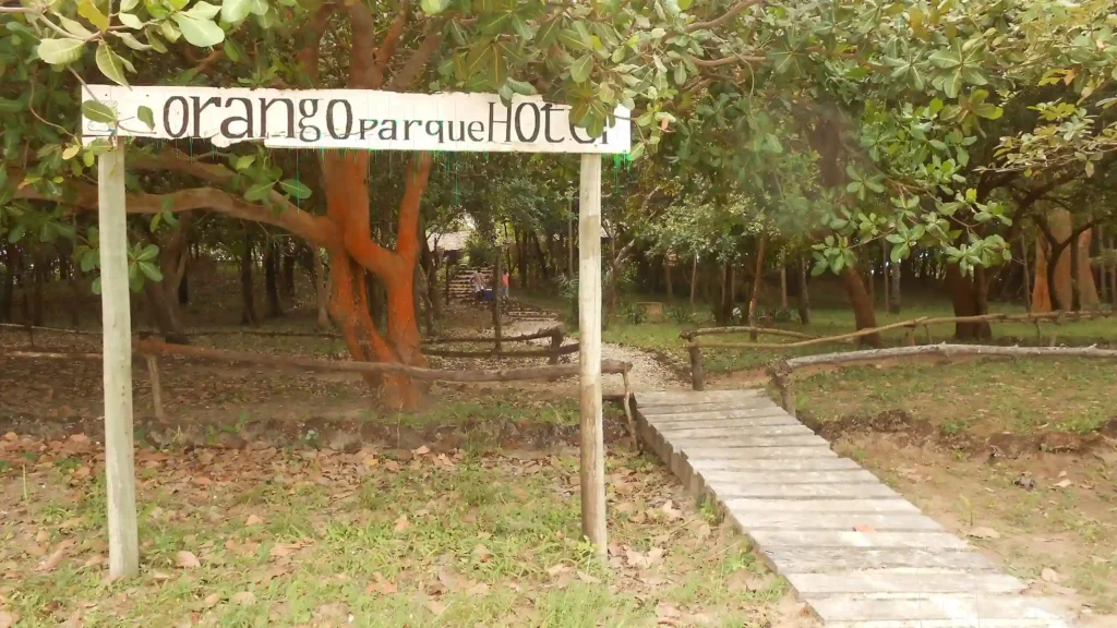 Descubre el Orango Parque Hotel y como realiza ecoturismo responsable